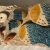 fish DIY package
