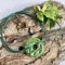 rock garden bracelet
