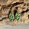 dwarf juniper earrings